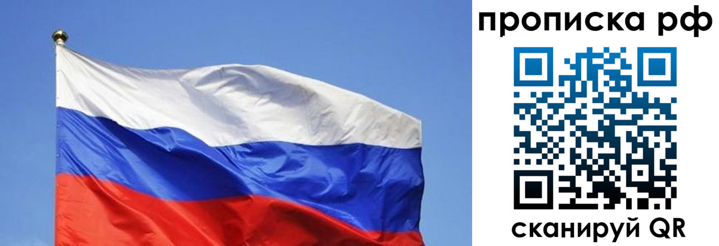 прописка штамп в Звенигороде
